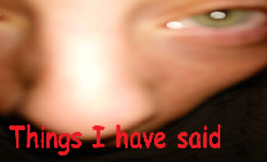 Cover artwork for Holly once said