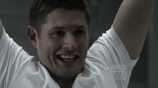 Cover artwork for Supernatural - pudding scene