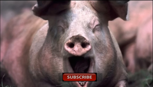 Cover artwork for (DUB MODE) Pig Squealing Sound - realsoundFX