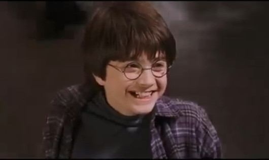 Cover artwork for Harry Potter - Zoo Scene dub pack.